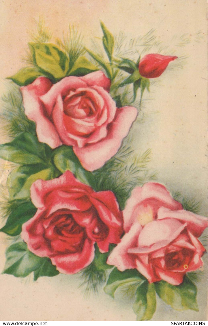 FLOWERS Vintage Postcard CPA #PKE628.GB - Blumen