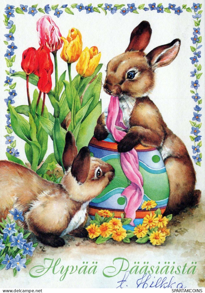 EASTER RABBIT Vintage Postcard CPSM #PBO554.GB - Pasqua