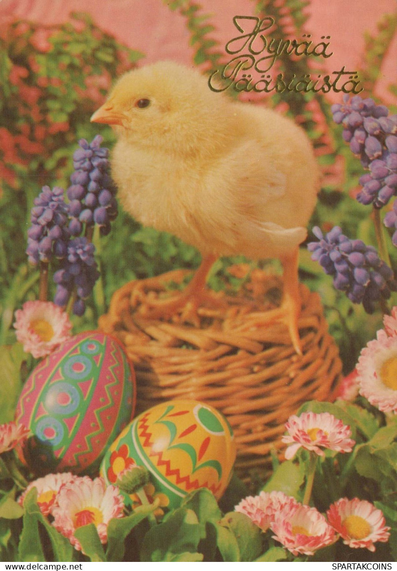 EASTER CHICKEN EGG Vintage Postcard CPSM #PBP120.GB - Pasqua