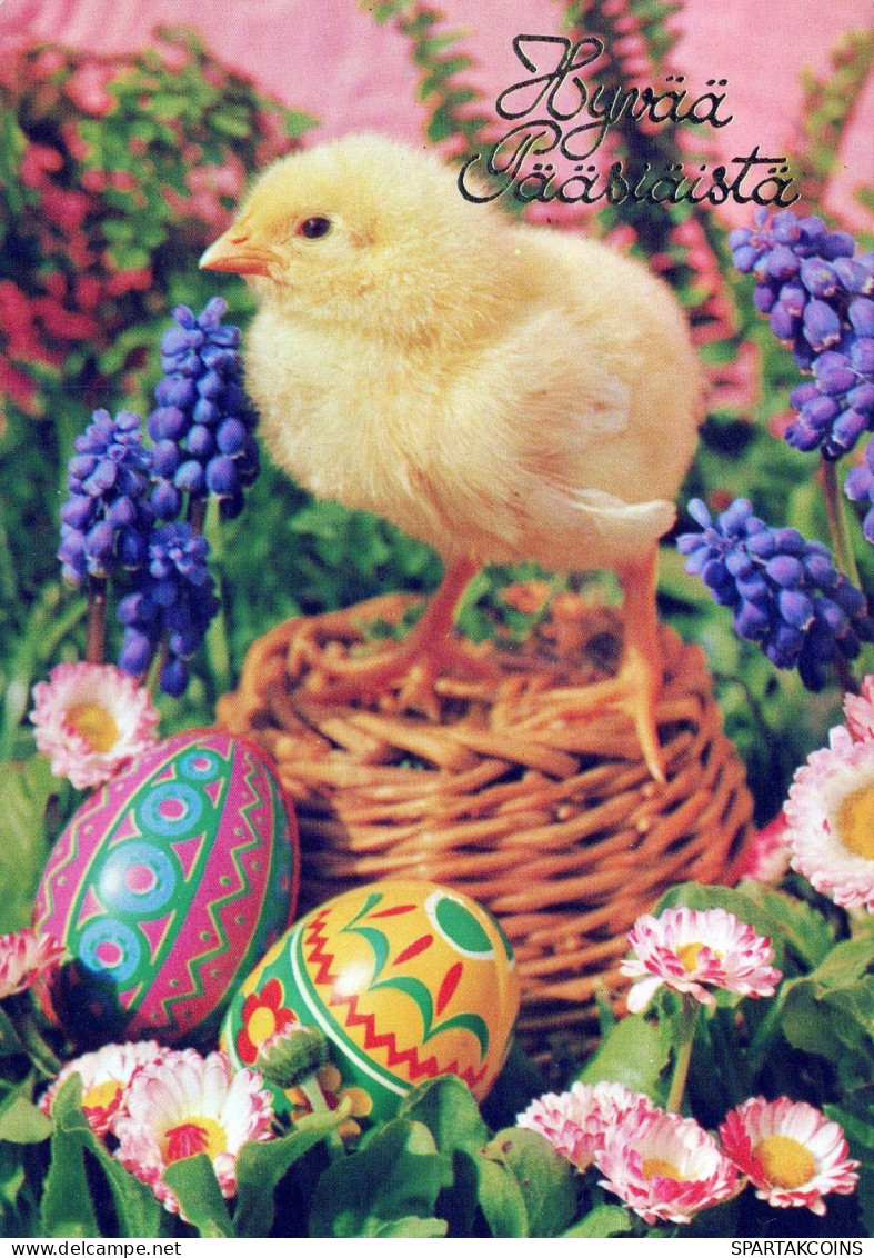 EASTER CHICKEN EGG Vintage Postcard CPSM #PBP120.GB - Pasqua