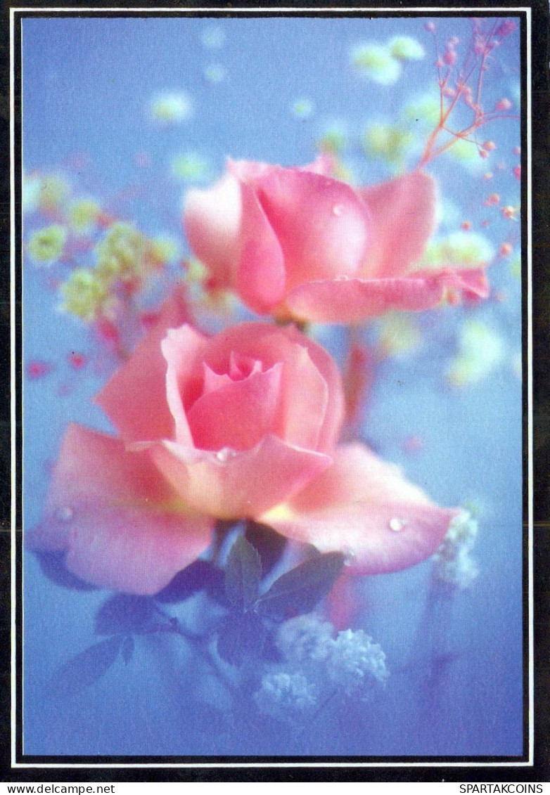 FLOWERS Vintage Postcard CPSM #PAS106.GB - Blumen