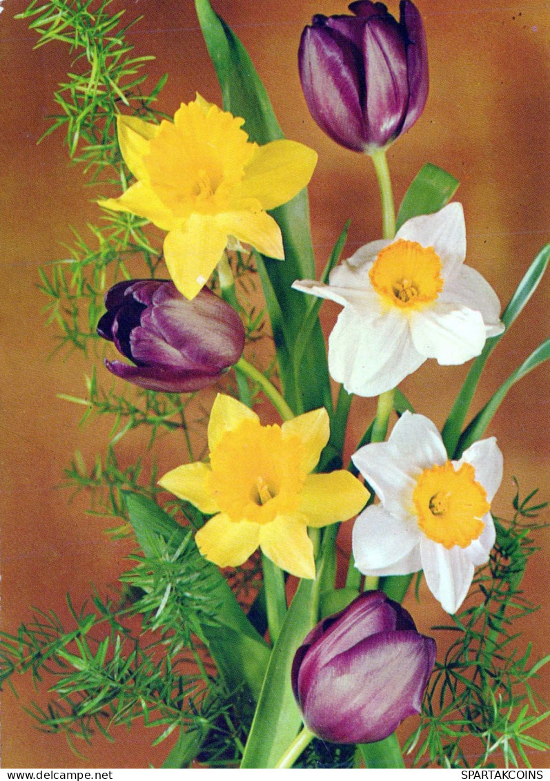 FLOWERS Vintage Postcard CPSM #PAR023.GB - Blumen