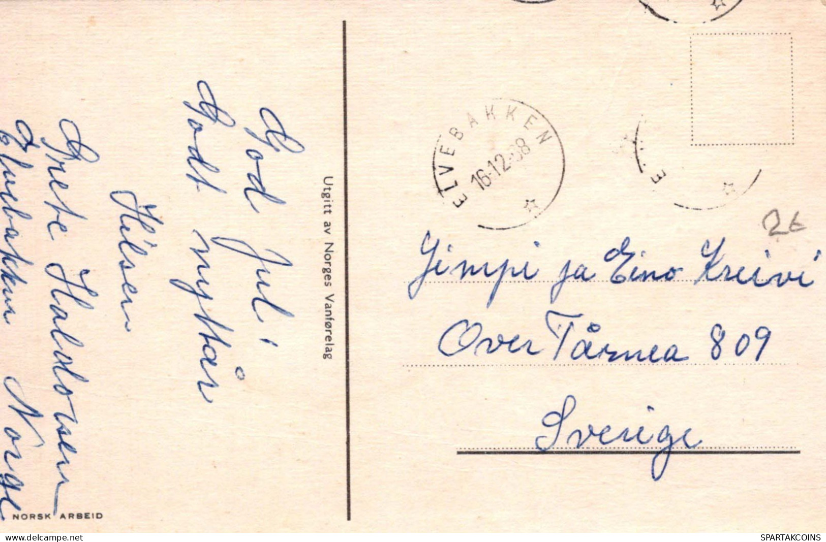 CABALLO Animales Vintage Tarjeta Postal CPA #PKE878.ES - Cavalli