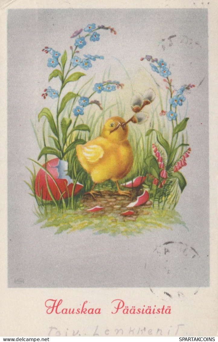 PASCUA POLLO HUEVO Vintage Tarjeta Postal CPA #PKE440.ES - Pasqua