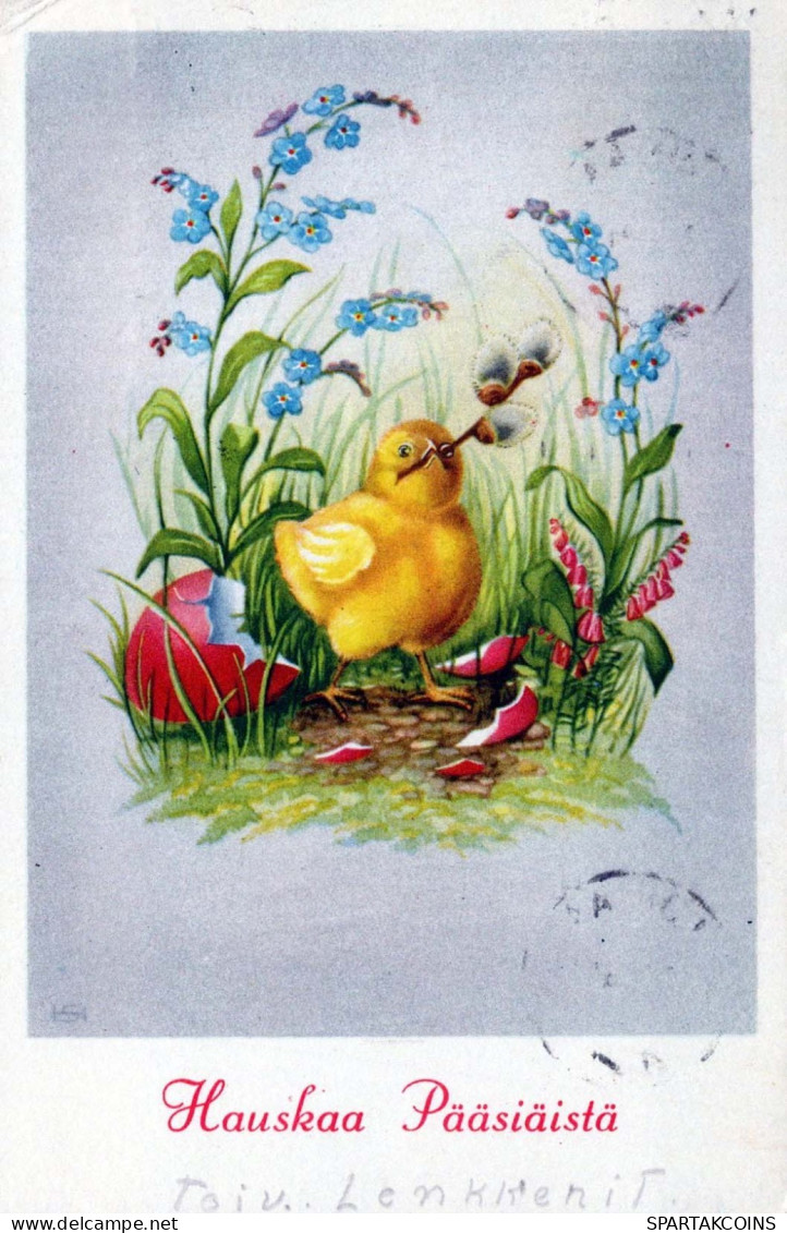 PASCUA POLLO HUEVO Vintage Tarjeta Postal CPA #PKE440.ES - Pâques