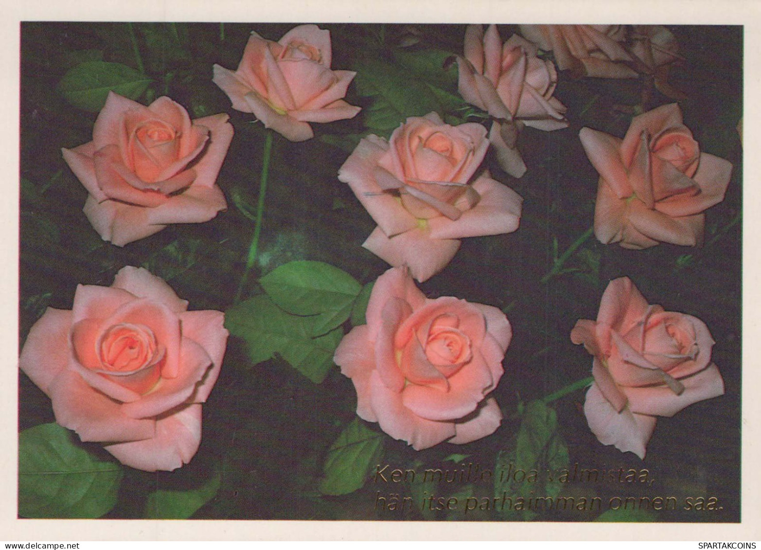 FLORES Vintage Tarjeta Postal CPSM #PBZ334.ES - Flowers