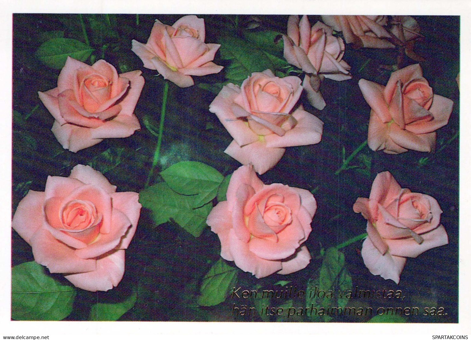 FLORES Vintage Tarjeta Postal CPSM #PBZ334.ES - Flowers