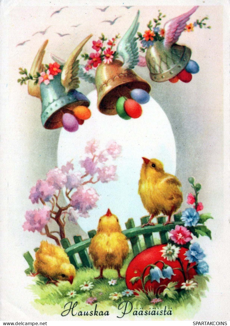 PASCUA POLLO HUEVO Vintage Tarjeta Postal CPSM #PBO805.ES - Pasqua