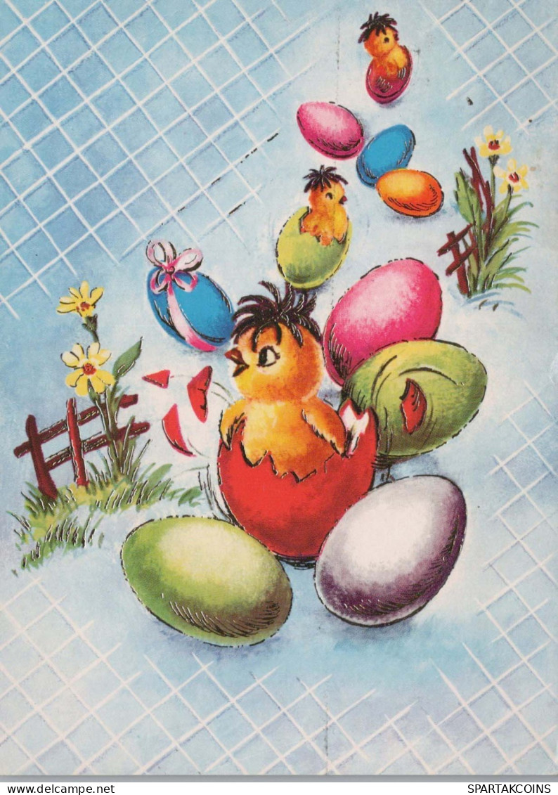 PASCUA POLLO HUEVO Vintage Tarjeta Postal CPSM #PBO619.ES - Pâques