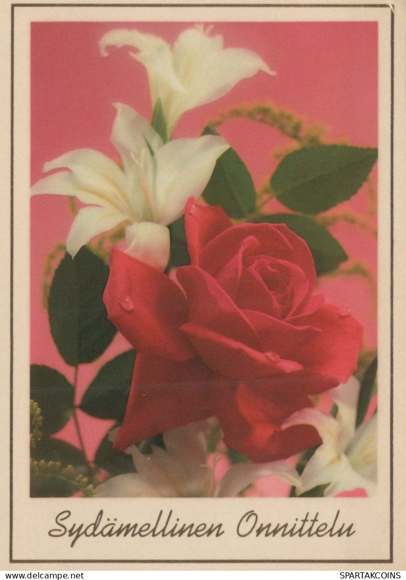 FLORES Vintage Tarjeta Postal CPSM #PAS287.ES - Flowers