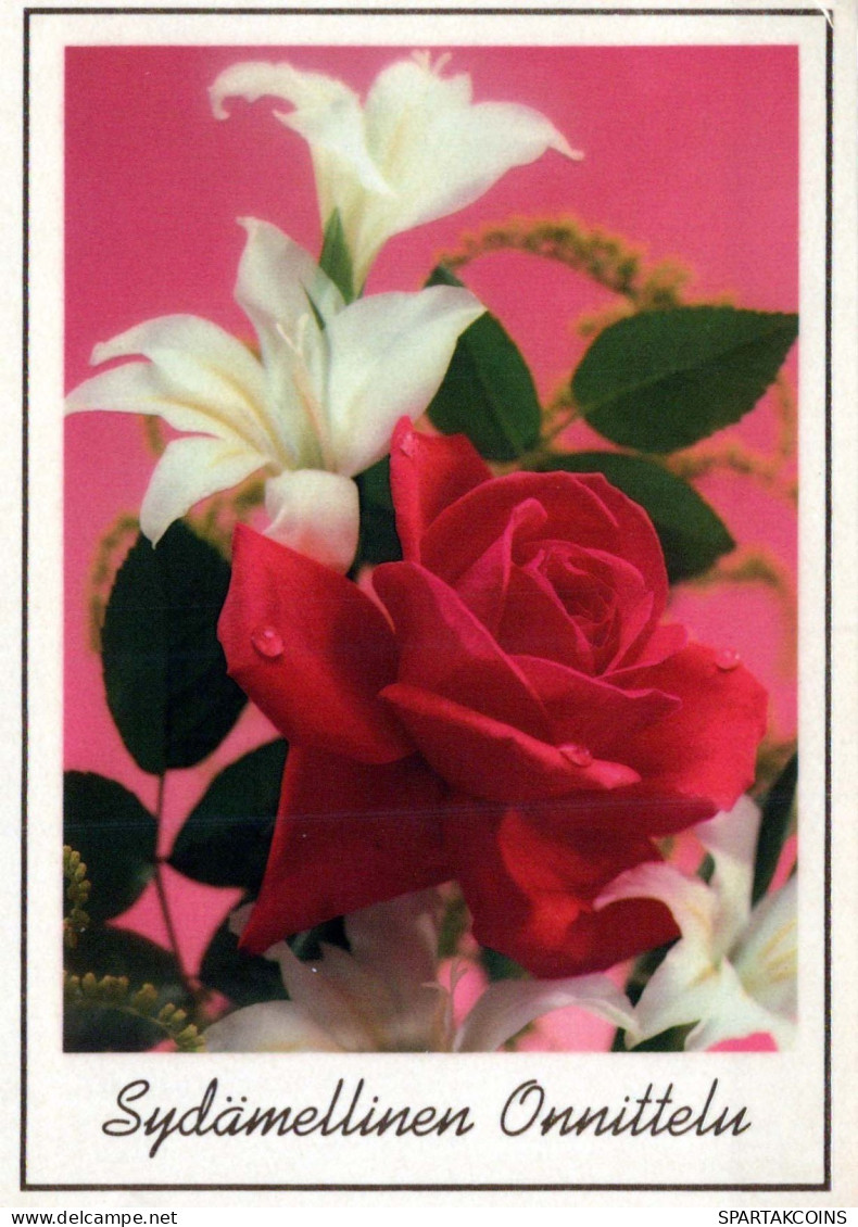 FLORES Vintage Tarjeta Postal CPSM #PAS287.ES - Flowers