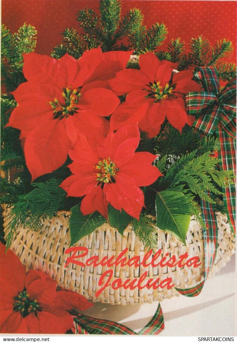 FLORES Vintage Tarjeta Postal CPSM #PAS407.ES - Flowers