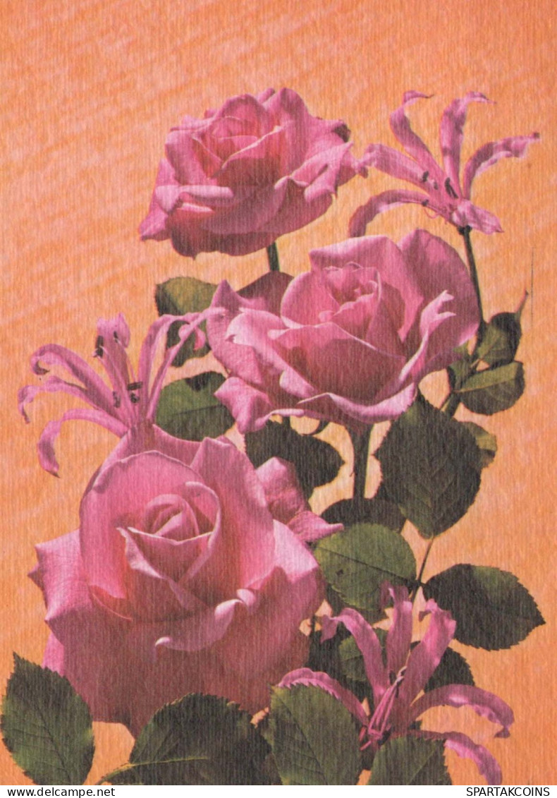 FLORES Vintage Tarjeta Postal CPSM #PAR926.ES - Flowers