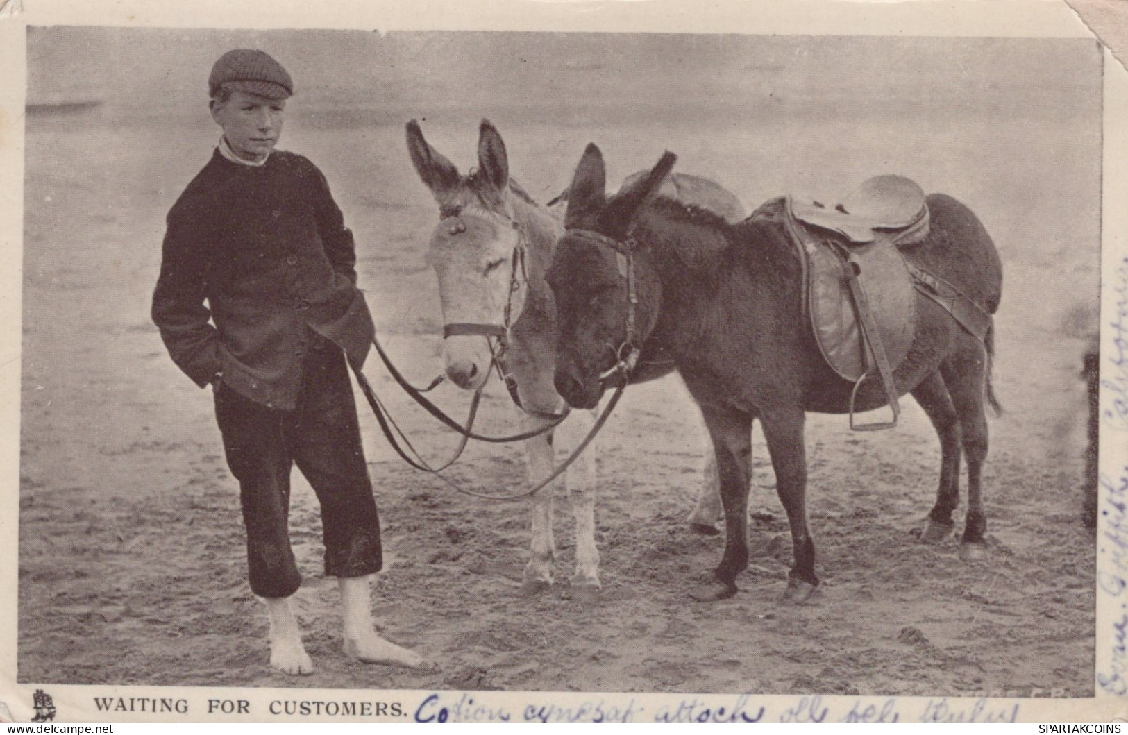 DONKEY Animals Children Vintage Antique Old CPA Postcard #PAA333.GB - Donkeys