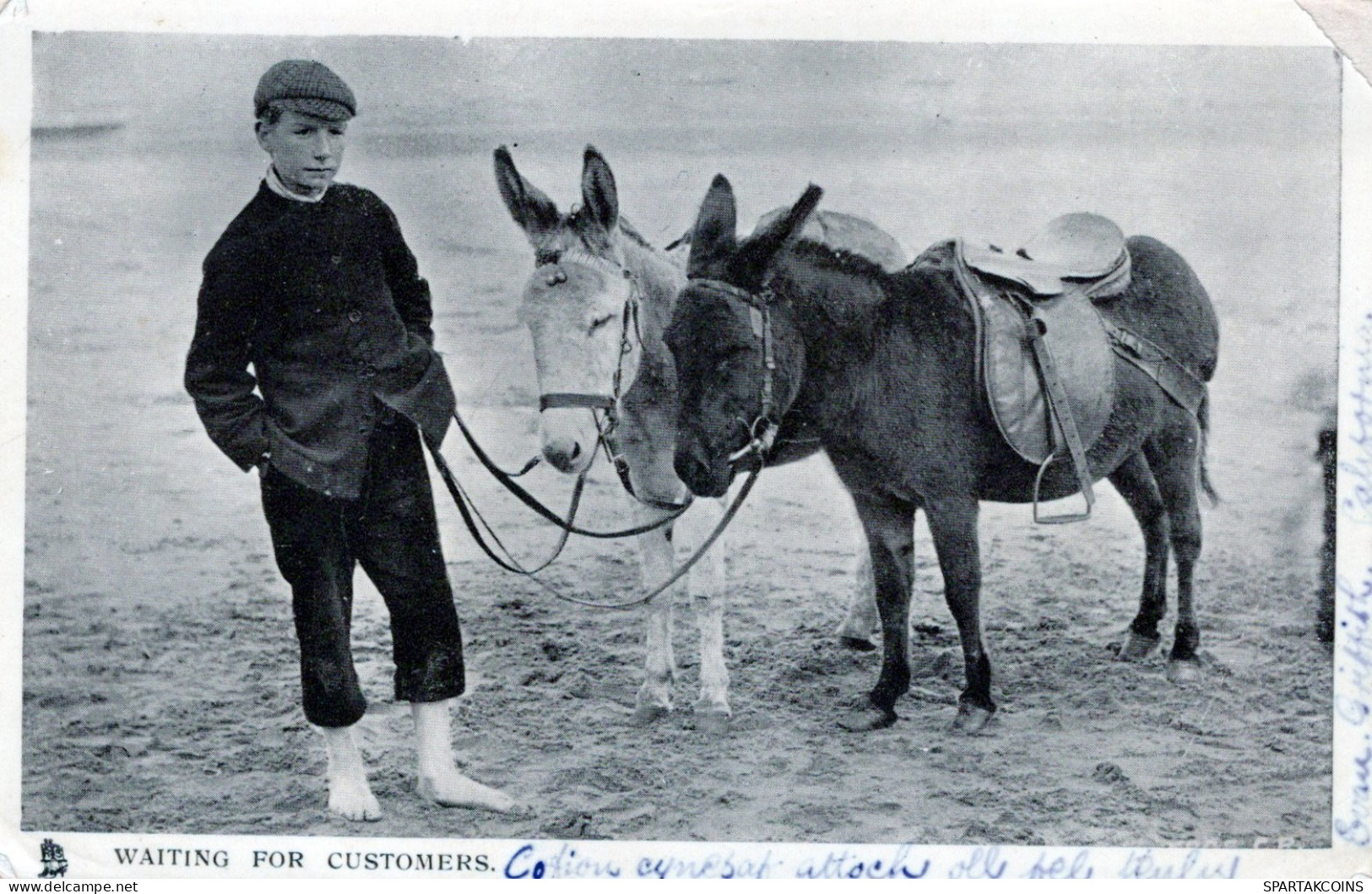 DONKEY Animals Children Vintage Antique Old CPA Postcard #PAA333.GB - Esel