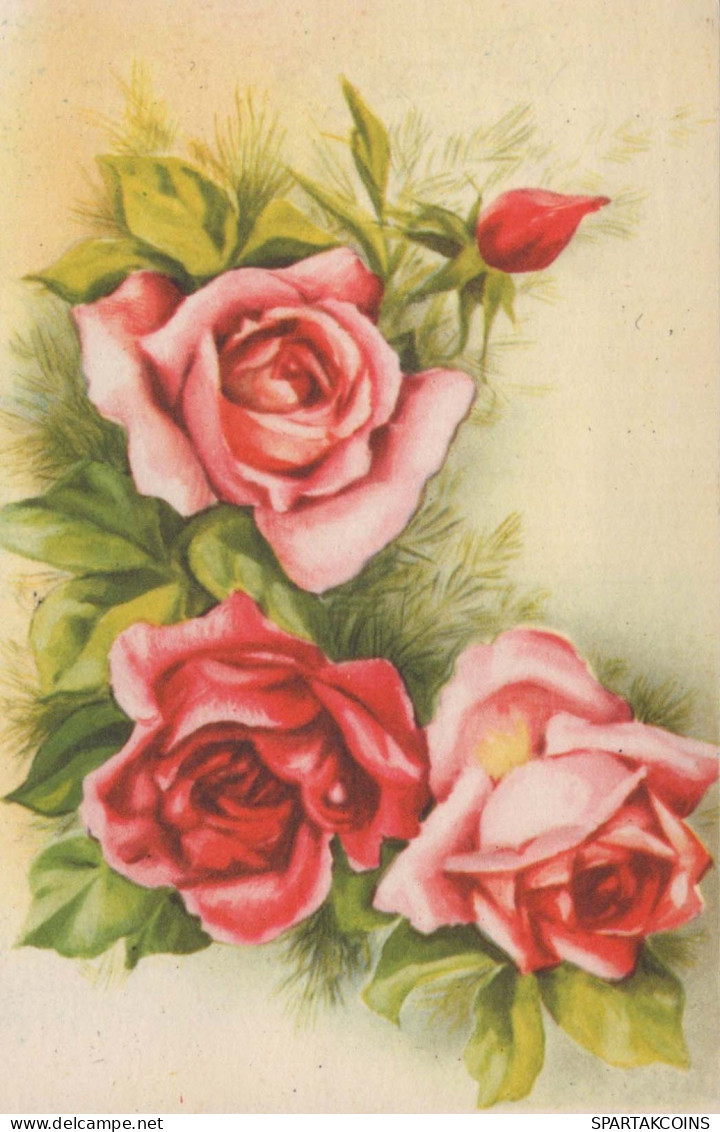 FLEURS Vintage Carte Postale CPA #PKE630.FR - Blumen