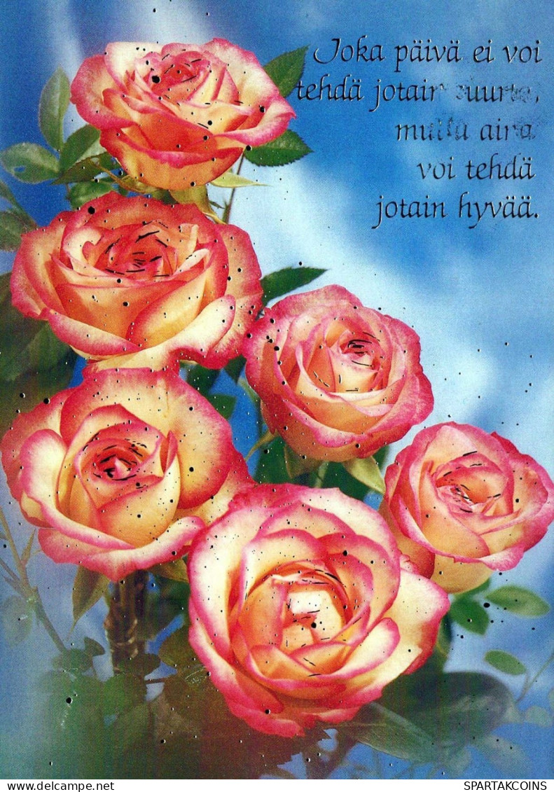 FLEURS Vintage Carte Postale CPSM #PBZ155.FR - Flowers