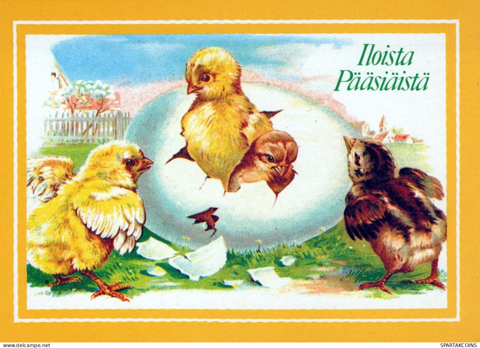 PÂQUES POULET ŒUF Vintage Carte Postale CPSM #PBO933.FR - Pasqua