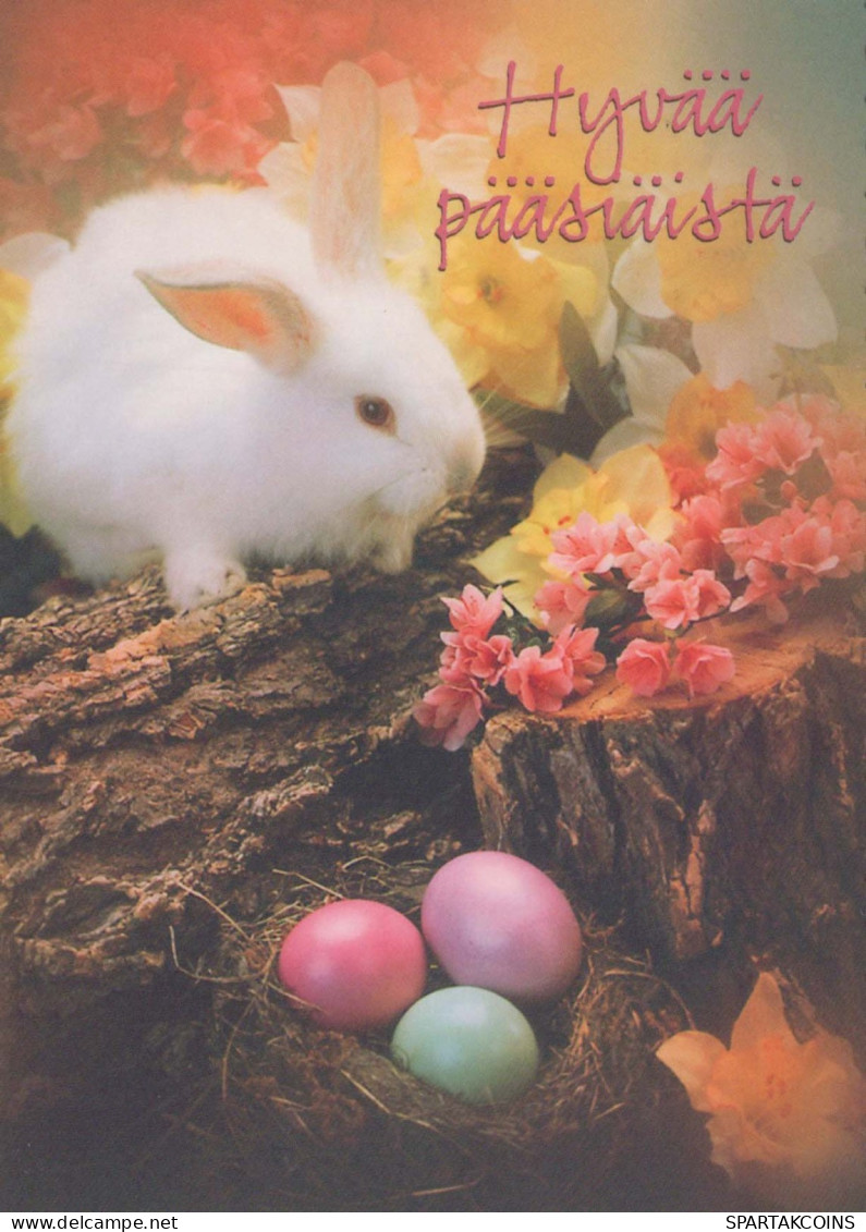 PÂQUES LAPIN ŒUF Vintage Carte Postale CPSM #PBO493.FR - Pasqua