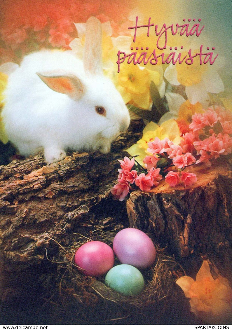 PÂQUES LAPIN ŒUF Vintage Carte Postale CPSM #PBO493.FR - Pasqua