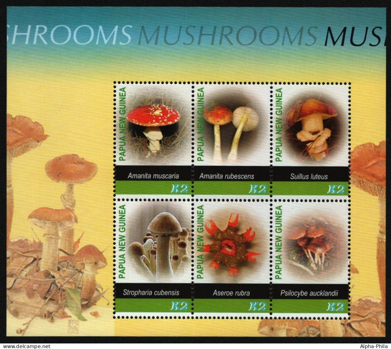 Papua-Neuguinea 2005 - Mi-Nr. Block 33 ** - MNH - Pilze / Mushrooms - Papua New Guinea