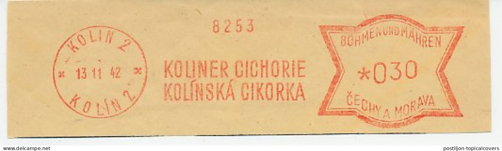 Meter Cut Bohemia And Moravia 1942 Chicory - Groenten