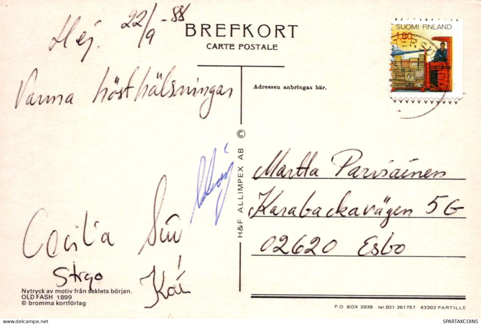 FLEURS Vintage Carte Postale CPSM #PAS048.FR - Blumen