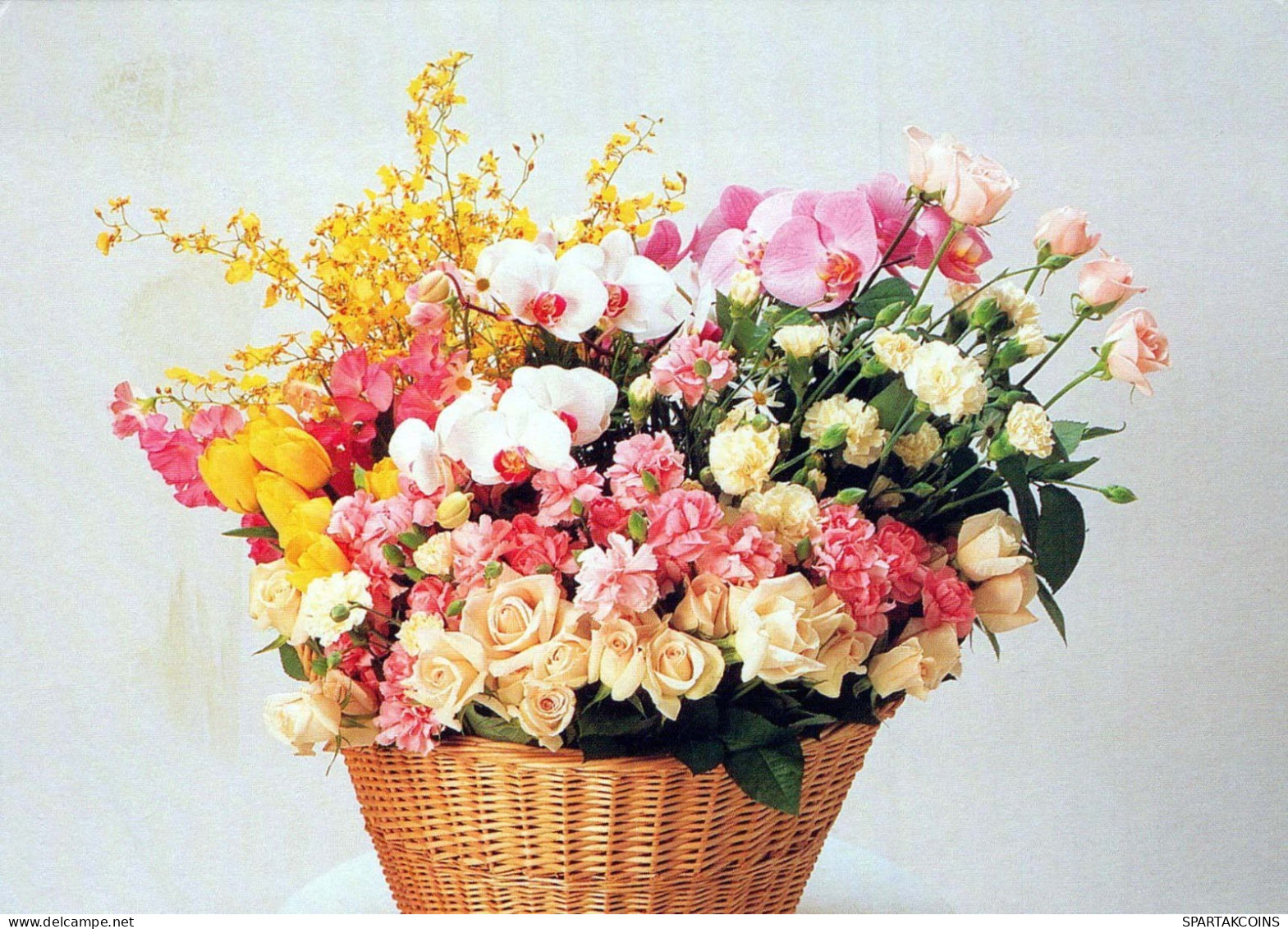 FLEURS Vintage Carte Postale CPSM #PAR747.FR - Blumen