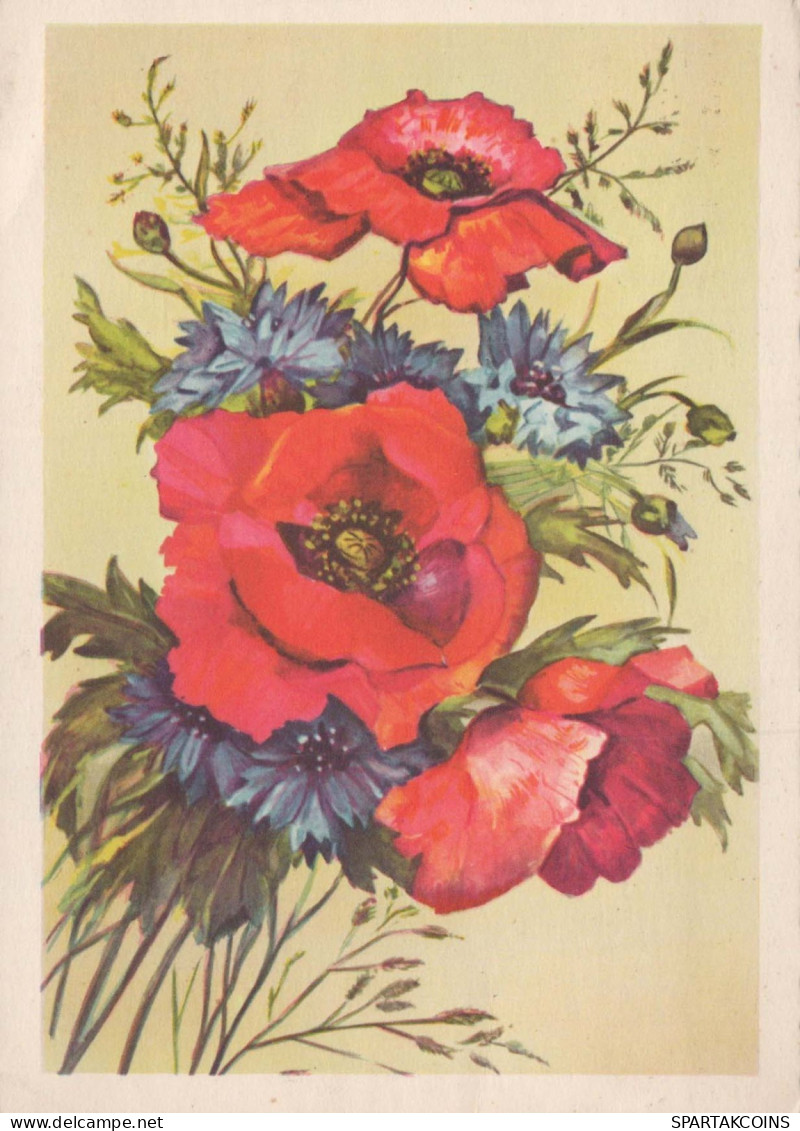 FLEURS Vintage Carte Postale CPSM #PAR206.FR - Blumen