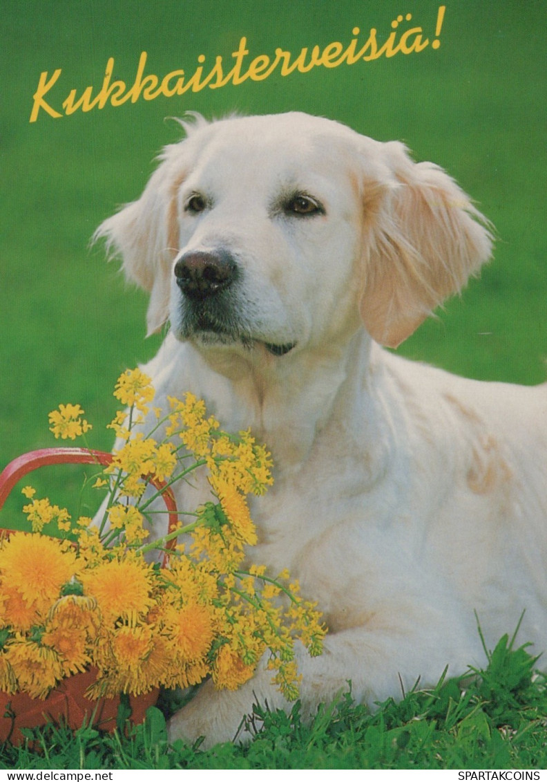 CHIEN Animaux Vintage Carte Postale CPSM #PAN436.FR - Chiens