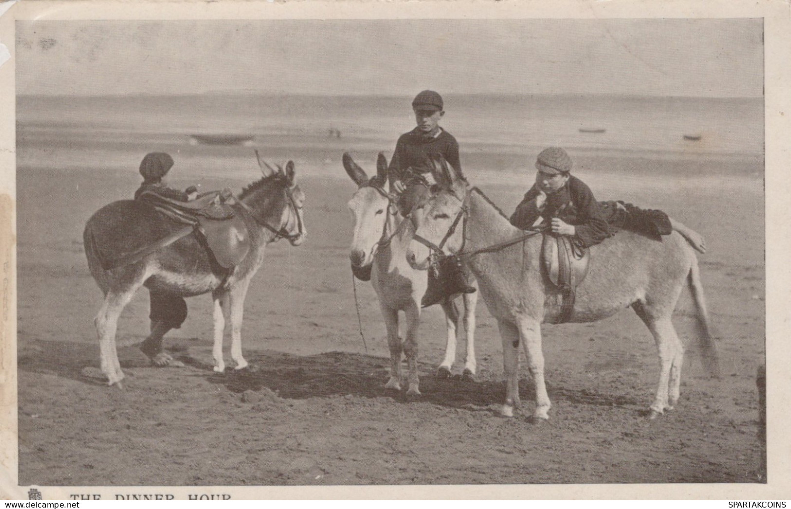 BURRO Animales Niños Vintage Antiguo CPA Tarjeta Postal #PAA334.ES - Burros