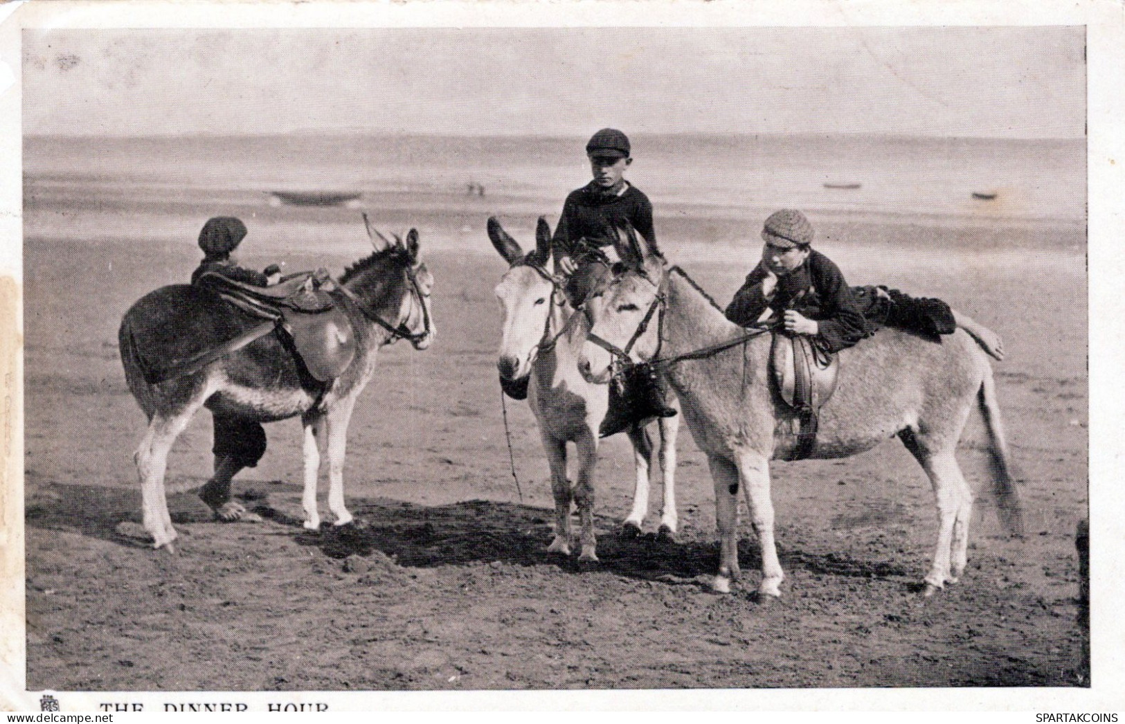 BURRO Animales Niños Vintage Antiguo CPA Tarjeta Postal #PAA334.ES - Burros