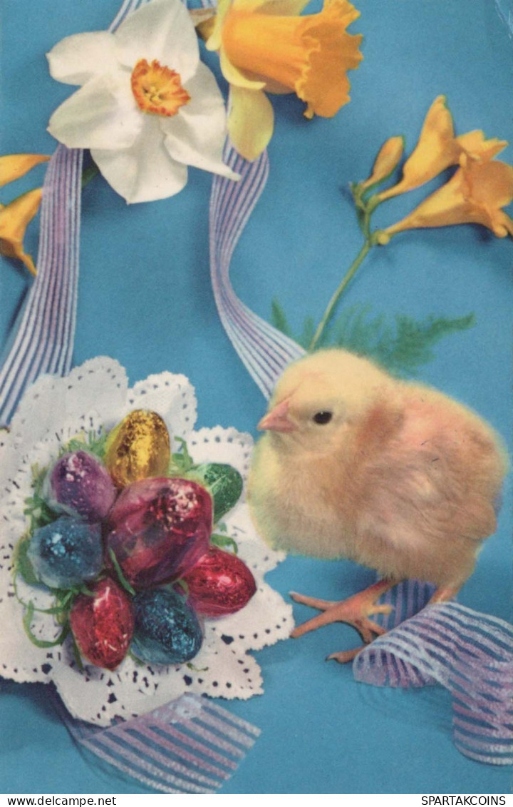 OSTERN HUHN EI Vintage Ansichtskarte Postkarte CPA #PKE442.DE - Pâques