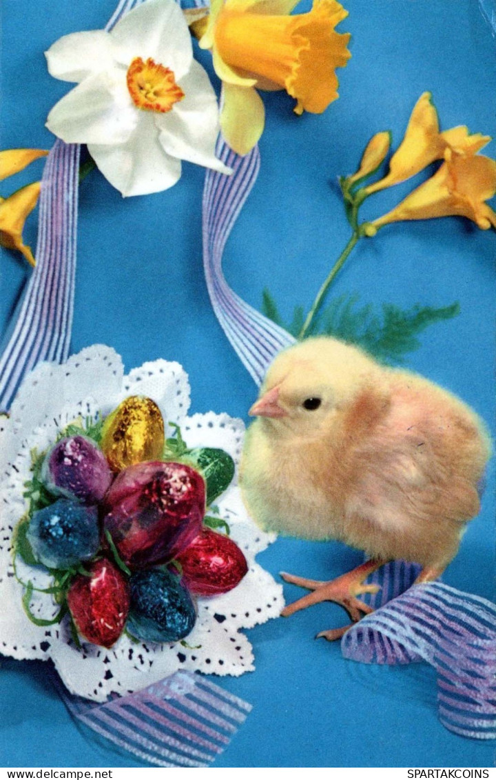 OSTERN HUHN EI Vintage Ansichtskarte Postkarte CPA #PKE442.DE - Ostern