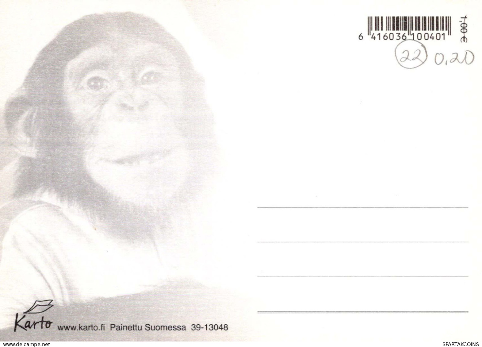 AFFE Tier Vintage Ansichtskarte Postkarte CPSM #PBR974.DE - Monos