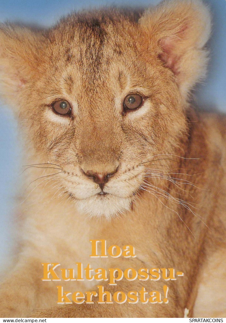 LION Tier Vintage Ansichtskarte Postkarte CPSM #PBS046.DE - Leeuwen