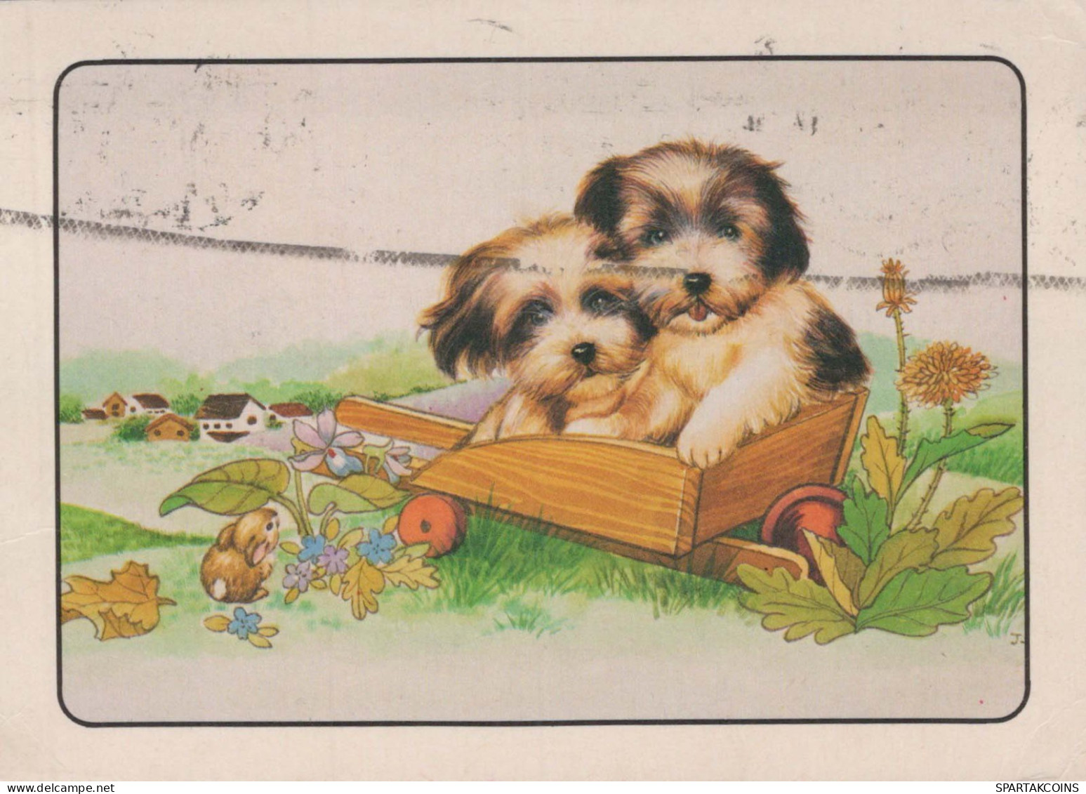 HUND Tier Vintage Ansichtskarte Postkarte CPSM #PBQ595.DE - Cani