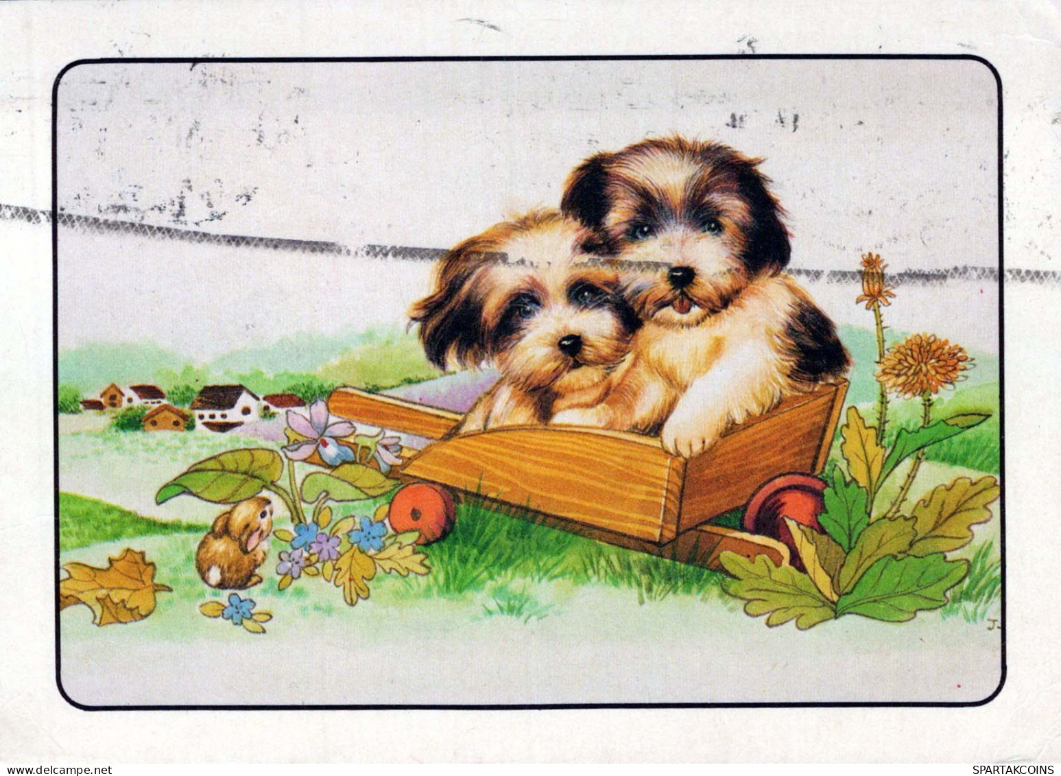 HUND Tier Vintage Ansichtskarte Postkarte CPSM #PBQ595.DE - Chiens