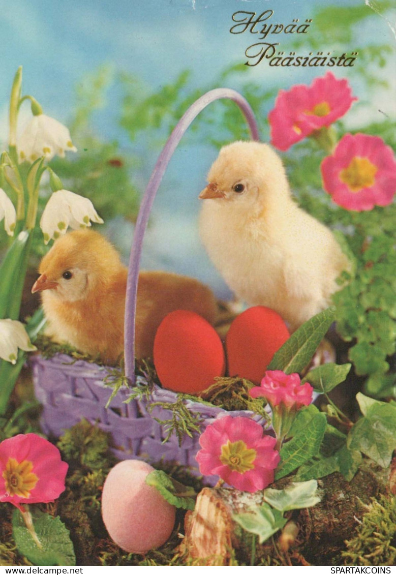 OSTERN HUHN EI Vintage Ansichtskarte Postkarte CPSM #PBP185.DE - Ostern