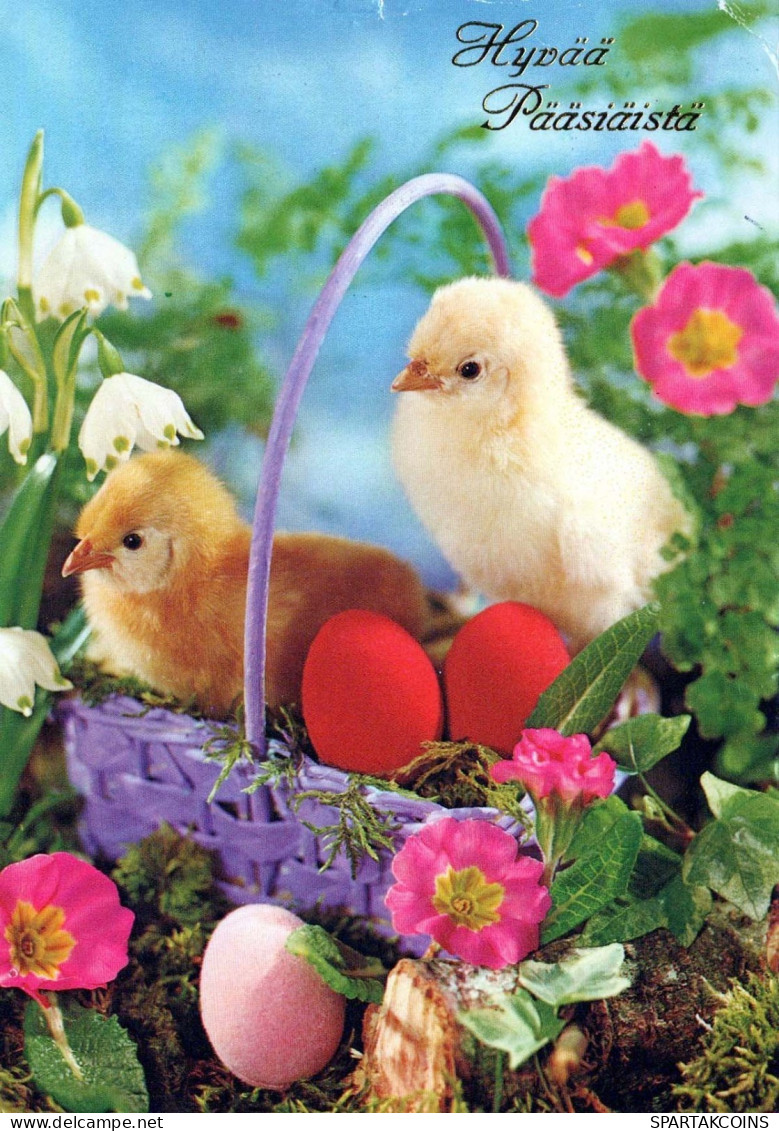 OSTERN HUHN EI Vintage Ansichtskarte Postkarte CPSM #PBP185.DE - Ostern