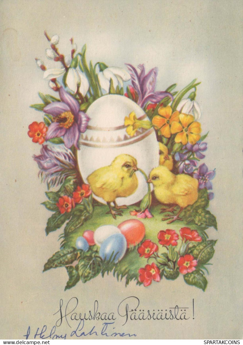 OSTERN HUHN EI Vintage Ansichtskarte Postkarte CPSM #PBO808.DE - Ostern