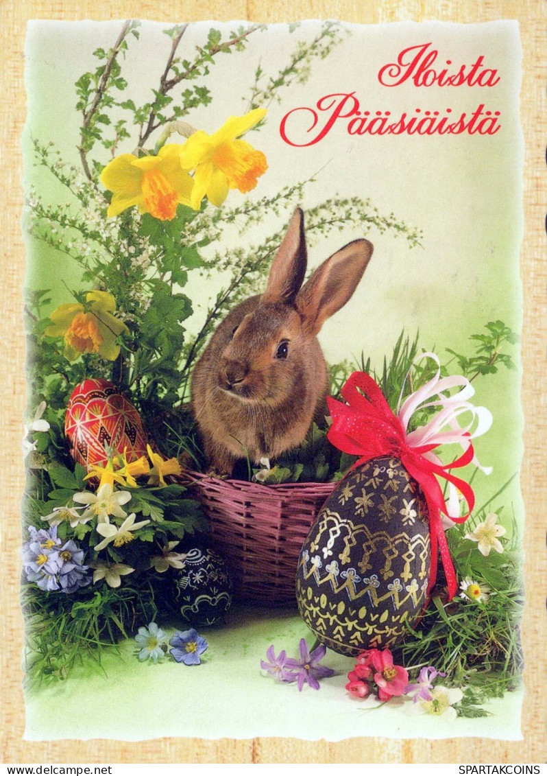 OSTERN KANINCHEN Vintage Ansichtskarte Postkarte CPSM #PBO494.DE - Ostern