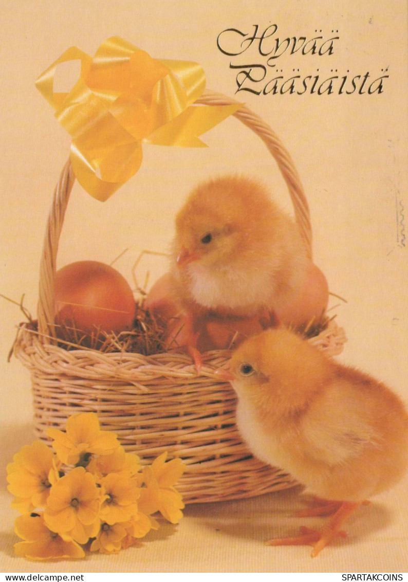 OSTERN HUHN EI Vintage Ansichtskarte Postkarte CPSM #PBO683.DE - Easter