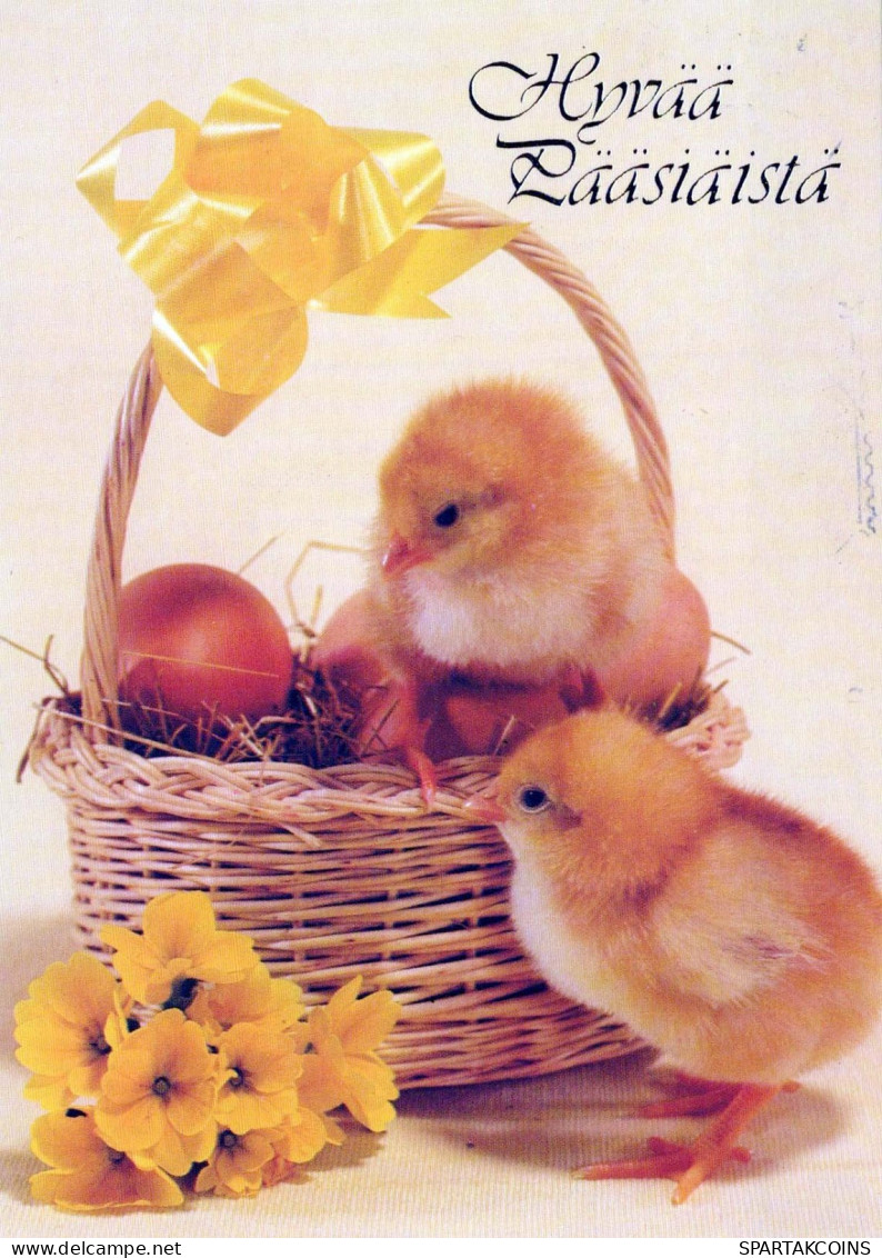 OSTERN HUHN EI Vintage Ansichtskarte Postkarte CPSM #PBO683.DE - Easter