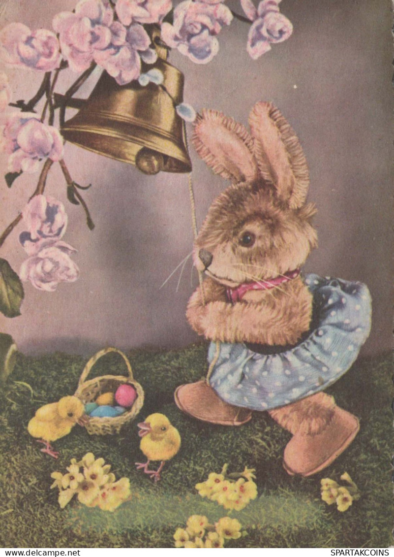 OSTERN KANINCHEN EI Vintage Ansichtskarte Postkarte CPSM #PBO369.DE - Easter