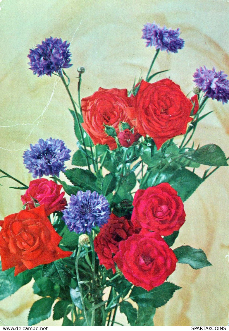 FLOWERS Vintage Ansichtskarte Postkarte CPSM #PAS592.DE - Flores