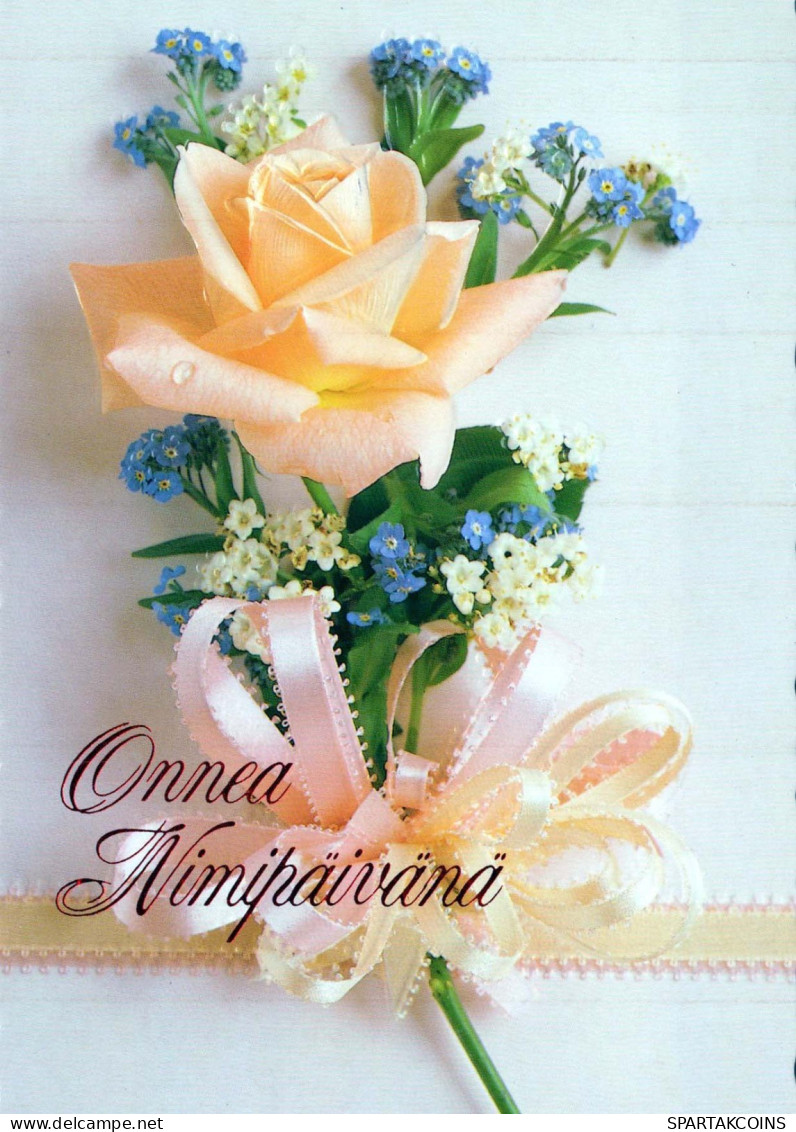 FLOWERS Vintage Ansichtskarte Postkarte CPSM #PAS229.DE - Flores
