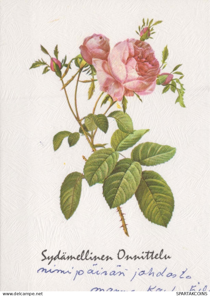 FLOWERS Vintage Ansichtskarte Postkarte CPSM #PAS289.DE - Flores