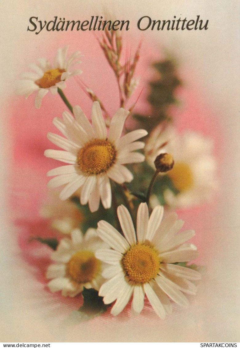 FLOWERS Vintage Ansichtskarte Postkarte CPSM #PAR688.DE - Flores