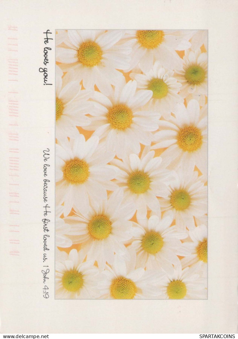 FLOWERS Vintage Ansichtskarte Postkarte CPSM #PAR448.DE - Flores